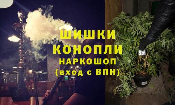 бутират Гусев