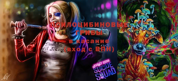 MDMA Гусиноозёрск