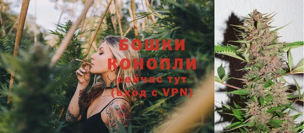 Альфа ПВП Горнозаводск