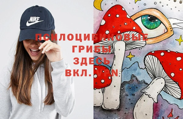 бутират Гусев